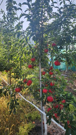 전용표님의 자유주제 · 자유게시판 작성글 사진