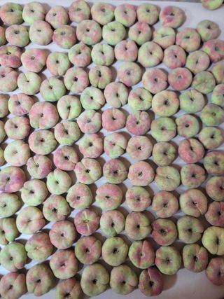 김안식~납작복숭아님의 자유주제 · 자유게시판 작성글 사진