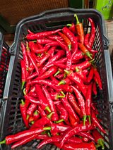 팜모닝 자유주제·자유게시판 게시글 이미지