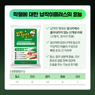 누보농장님의 자유주제 · 자유게시판 작성글 사진