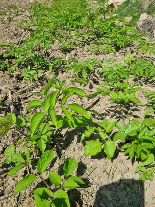 이호성님의 작성글 사진