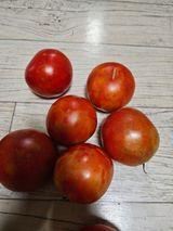 팜모닝 자유주제·자유게시판 게시글 이미지