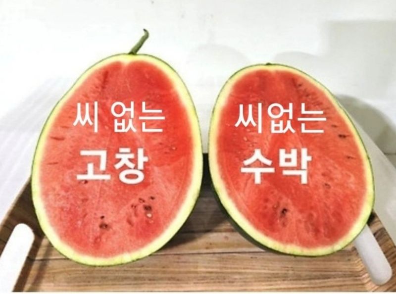 장터 상품 [고창 씨없는 수박8kg급] 썸네일