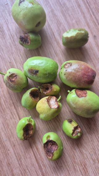 김진님의 자유주제 · 자유게시판 작성글 사진