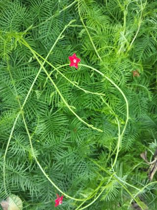 한석희님의 농사, 무엇이든 물어보세요! · 참여글 작성글 사진