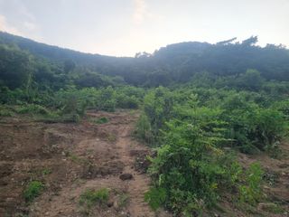 이호성님의 자유주제 · 자유게시판 작성글 사진