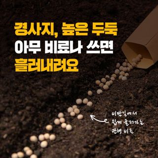 누보농장님의 자유주제 · 자유게시판 작성글 사진