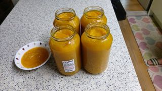 초보농부님의 자유주제 · 자유게시판 작성글 사진