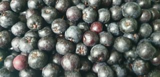 SOUL님의 자유주제 · 자유게시판 작성글 사진