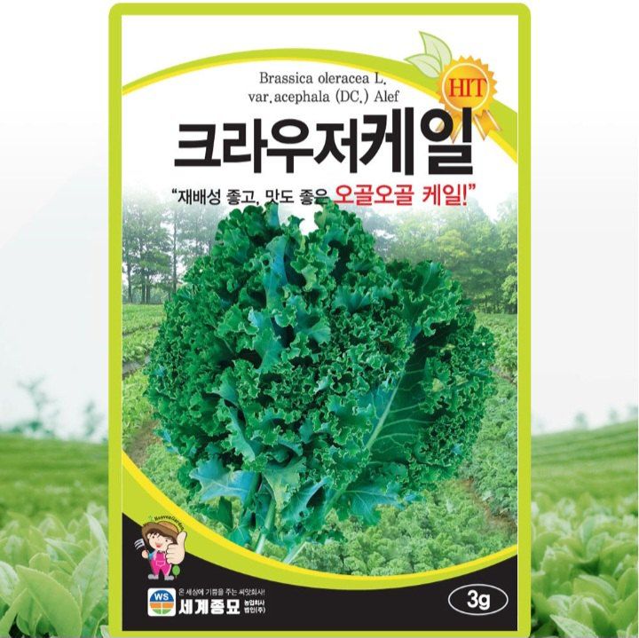장터 상품 [[재입고] 크라우저 케일씨앗 3g (곱슬케일,컬리케일) 씨앗 5봉 구매시 + 랜덤씨앗 1봉 증정] 썸네일