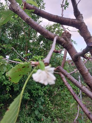 장준호님의 자유주제 · 자유게시판 작성글 사진