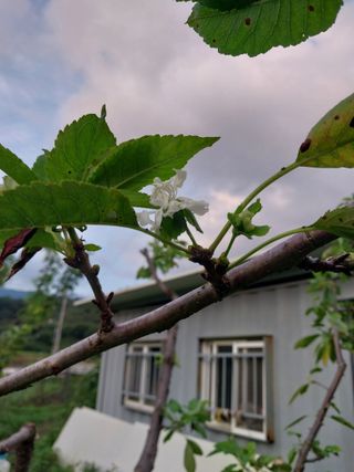 장준호님의 자유주제 · 자유게시판 작성글 사진