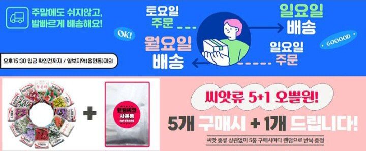 산들마켓,씨앗마켓님의 장터 판매 상품 [[재입고] 크라우저 케일씨앗 3g (곱슬케일,컬리케일) 씨앗 5봉 구매시 + 랜덤씨앗 1봉 증정] 첨부 사진