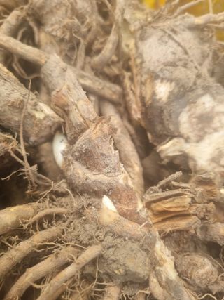 이호성님의 자유주제 · 자유게시판 작성글 사진