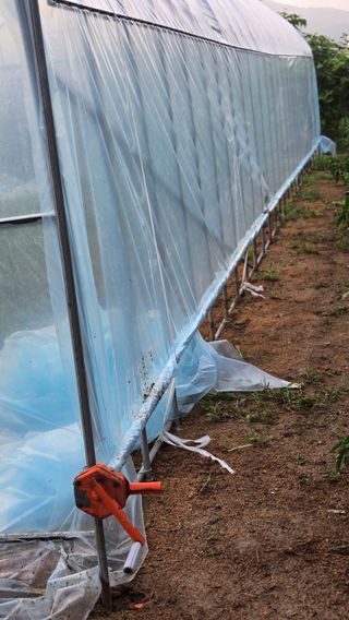 박정희 님의 자유주제 · 자유게시판 작성글 사진