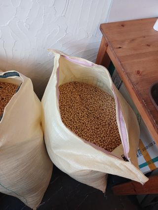 이정민님의 자유주제 · 자유게시판 작성글 사진