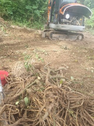 이호성님의 자유주제 · 자유게시판 작성글 사진