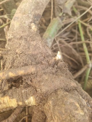 이호성님의 작성글 사진