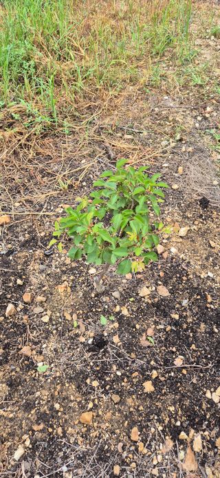 전성태님의 자유주제 · 자유게시판 작성글 사진