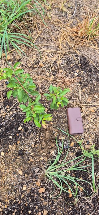 전성태님의 자유주제 · 자유게시판 작성글 사진