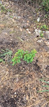 팜모닝 자유주제·자유게시판 게시글 이미지