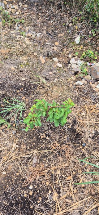 전성태님의 자유주제 · 자유게시판 작성글 사진