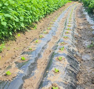 누보농장님의 자유주제 · 자유게시판 작성글 사진