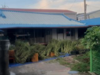 옥천서화농님의 자유주제 · 자유게시판 작성글 사진