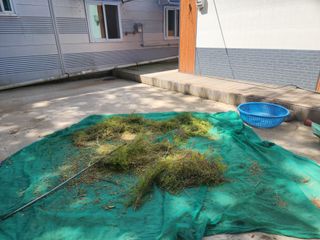 이창신님의 자유주제 · 자유게시판 작성글 사진