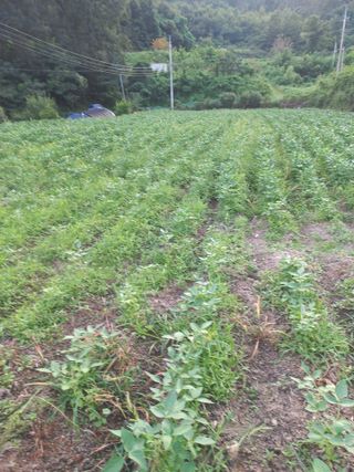 표고버섯18837님의 자유주제 · 자유게시판 작성글 사진