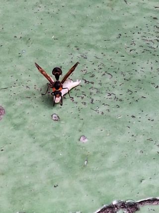 남 샘결 개둥맘님의 자유주제 · 자유게시판 작성글 사진