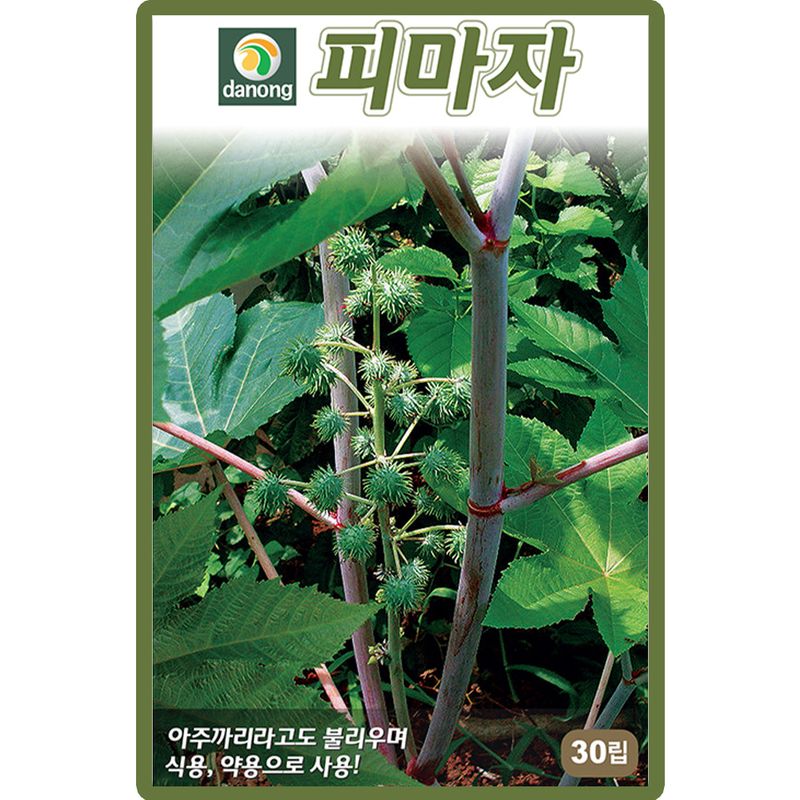 장터 상품 [피마자 씨앗 30립 아주까리 피마자씨 종자 3개+랜덤씨앗1개 증정] 썸네일