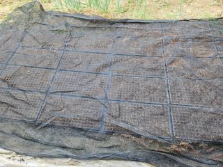 백호순(후추)님의 자유주제 · 자유게시판 작성글 사진