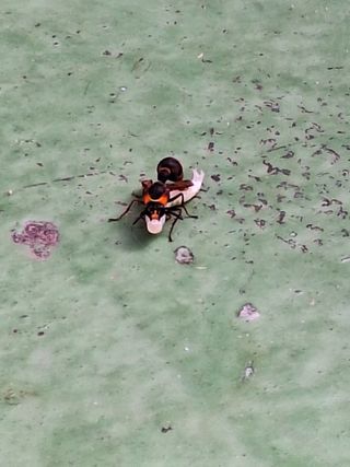 남 샘결 개둥맘님의 자유주제 · 자유게시판 작성글 사진