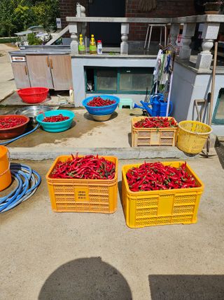 충남공주이도은님의 자유주제 · 자유게시판 작성글 사진