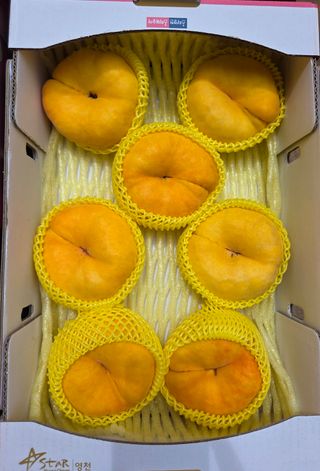 경북 영천 제우스님의 자유주제 · 자유게시판 작성글 사진