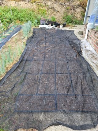 백호순(후추)님의 자유주제 · 자유게시판 작성글 사진