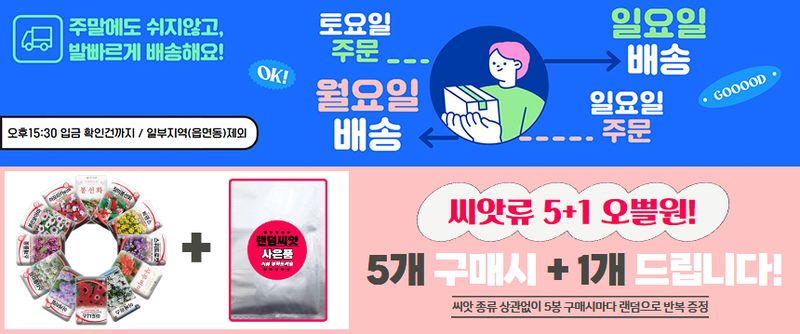 산들마켓,씨앗마켓님의 장터 판매 상품 [피마자 씨앗 30립 아주까리 피마자씨 종자 3개+랜덤씨앗1개 증정] 첨부 사진