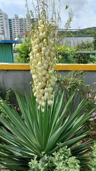 이승욱님의 자유주제 · 사진전 작성글 사진