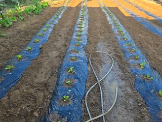 뚝방님의 자유주제 · 자유게시판 작성글 사진