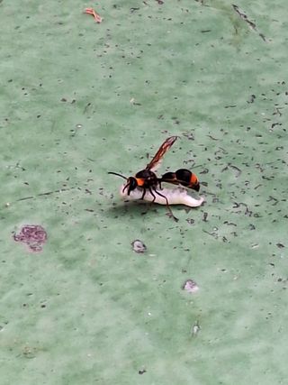 남 샘결 개둥맘님의 자유주제 · 자유게시판 작성글 사진