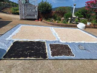 김은숙님의 자유주제 · 자유게시판 작성글 사진