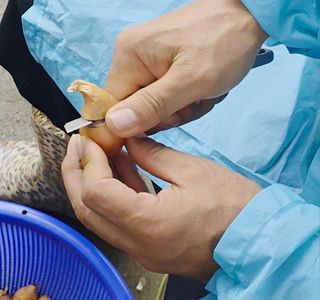 누보농장님의 자유주제 · 자유게시판 작성글 사진