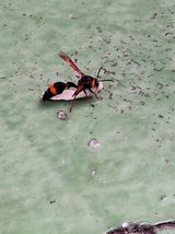 팜모닝 자유주제·자유게시판 게시글 이미지