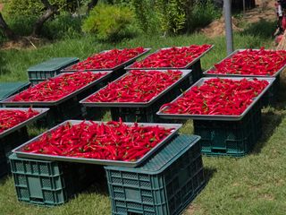 이석팔님의 자유주제 · 자유게시판 작성글 사진