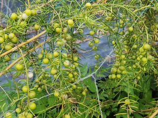 이창신님의 자유주제 · 자유게시판 작성글 사진