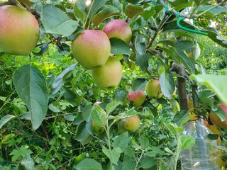 한상동님의 자유주제 · 자유게시판 작성글 사진