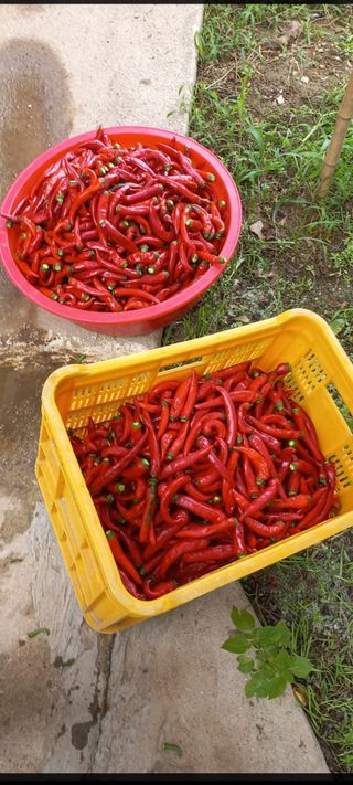 이승욱님의 자유주제 · 사진전 작성글 사진