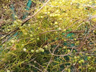 이창신님의 자유주제 · 자유게시판 작성글 사진