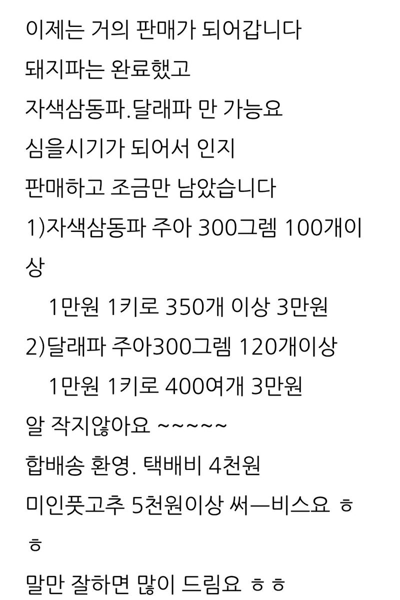 삼성농산님의 장터 판매 상품 [(완료)자색삼동파.달래파 주아판매] 첨부 사진
